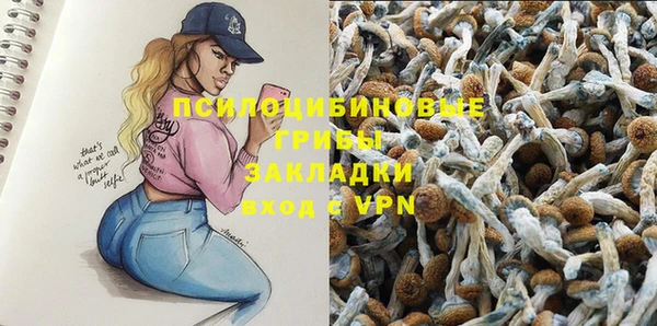соль курить ск Дмитриев