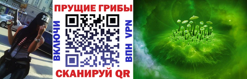 Псилоцибиновые грибы Magic Shrooms  ОМГ ОМГ зеркало  Цимлянск 